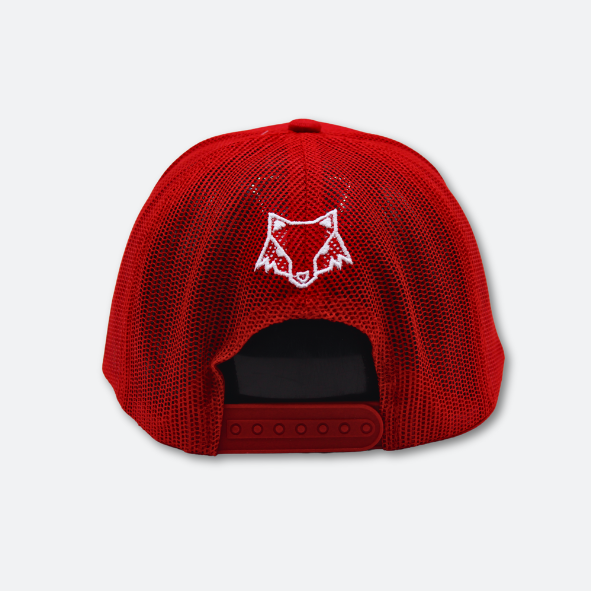 ORIGINAL AFC CAP