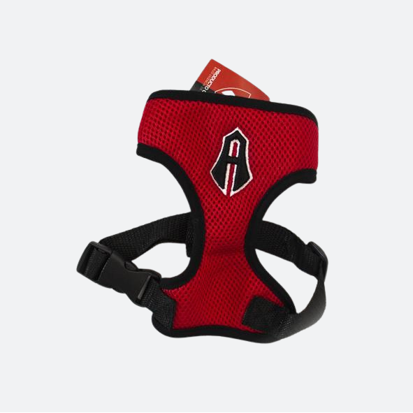 DOG BIB ATLAS