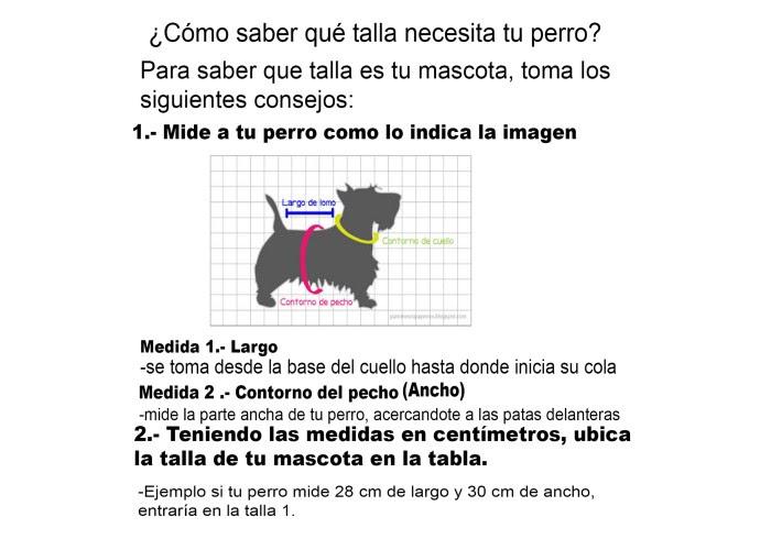 DOG BIB ATLAS